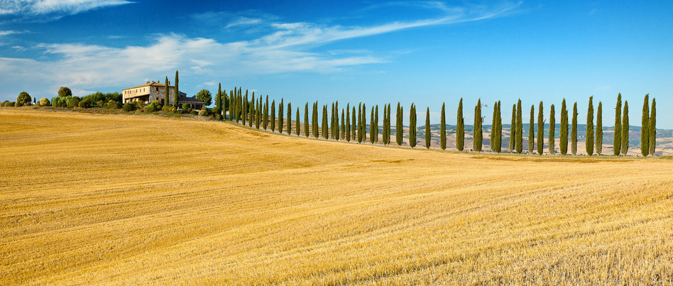 Scenic view of typical Tuscany landscape